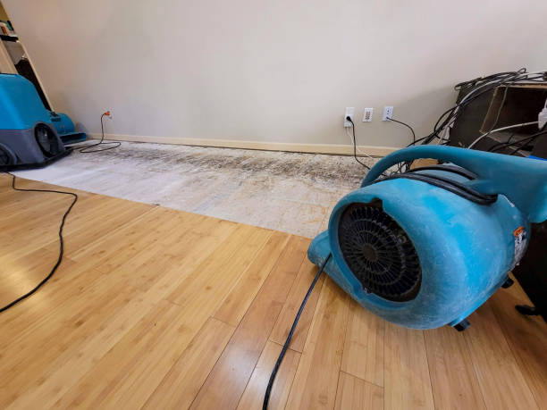 Professional Water Damage Repair technician working in Key Largo, FL